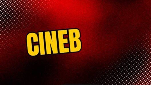 The Unofficial World of Cineb: Features, Risks, and the Best Streaming Alternatives