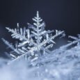 Are No Two Snow Flakes Alike? The Science Behind Winter's Tiny Wonders