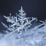 Are No Two Snow Flakes Alike? The Science Behind Winter's Tiny Wonders