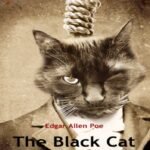 The Black Cat Edgar Allan Poe: Summary, Themes, and Literary Analysis
