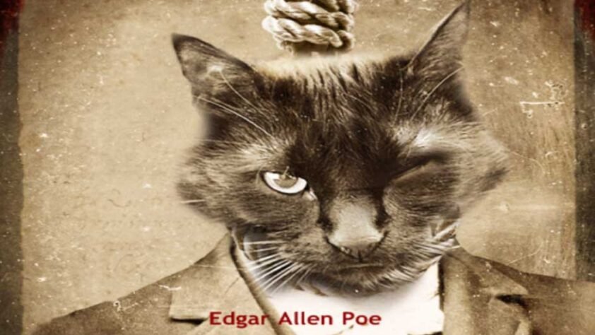 The Black Cat Edgar Allan Poe: Summary, Themes, and Literary Analysis
